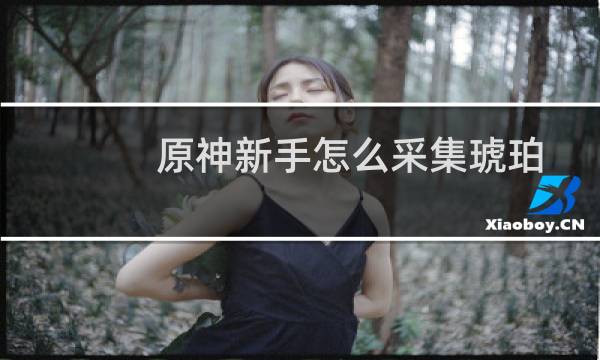 原神新手怎么采集琥珀