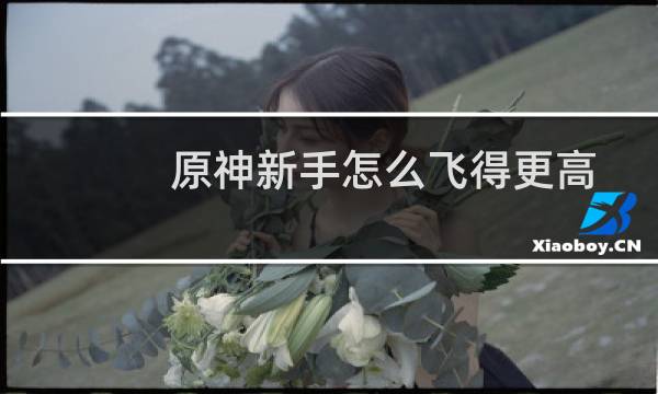原神新手怎么飞得更高