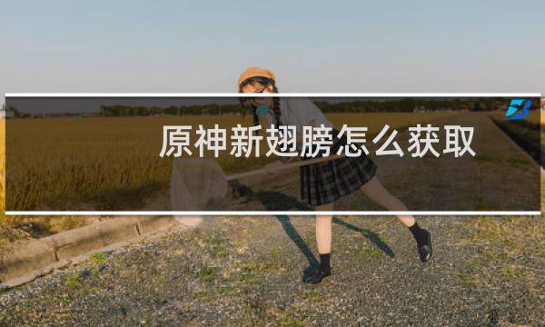 原神新翅膀怎么获取