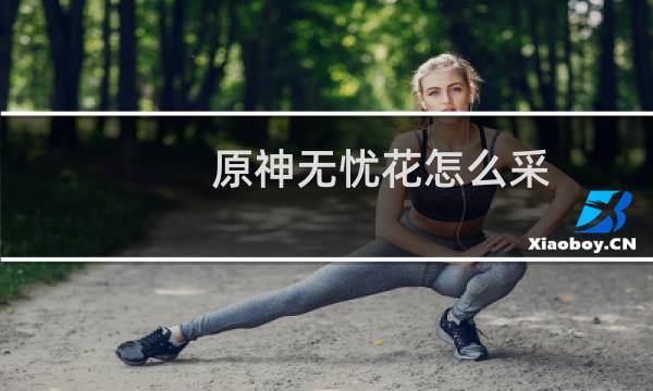 原神无忧花怎么采