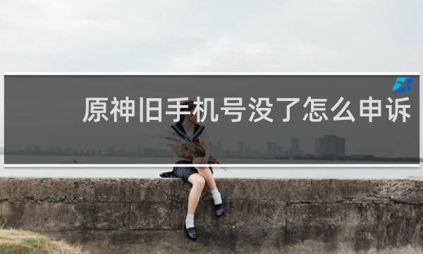 原神旧手机号没了怎么申诉