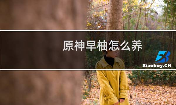 原神早柚怎么养