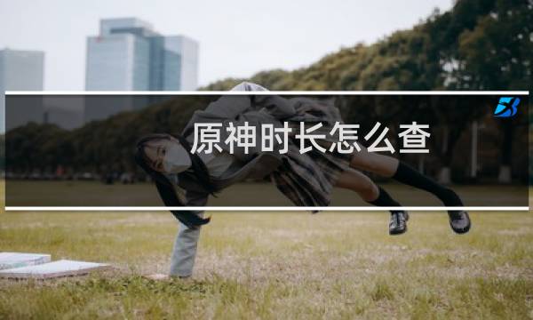 原神时长怎么查