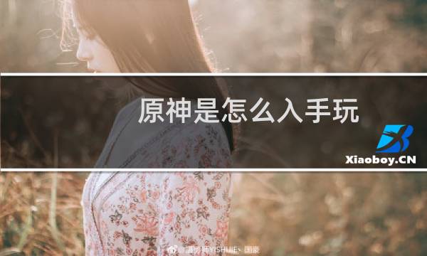 原神是怎么入手玩