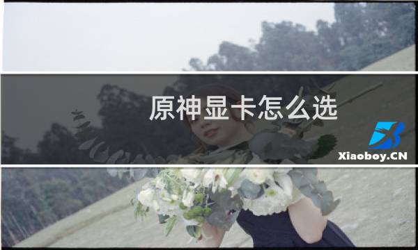 原神显卡怎么选