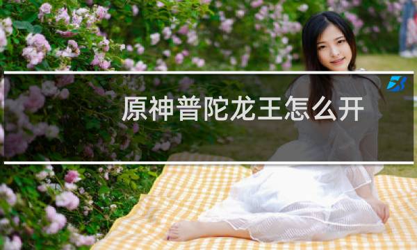 原神普陀龙王怎么开
