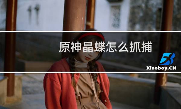 原神晶蝶怎么抓捕