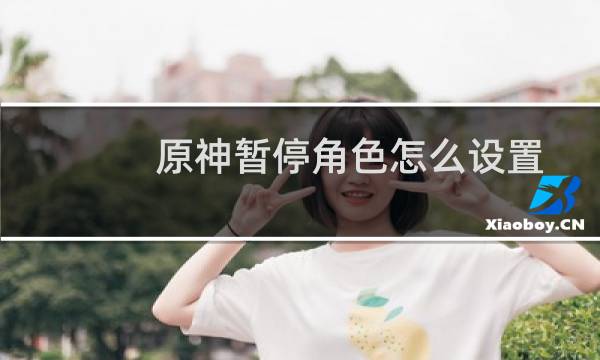 原神暂停角色怎么设置