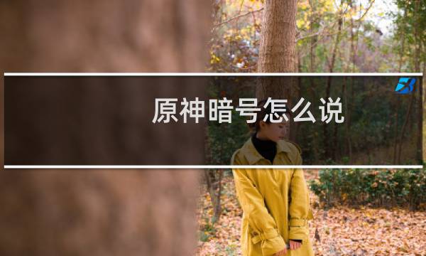 原神暗号怎么说
