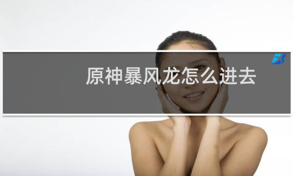 原神暴风龙怎么进去