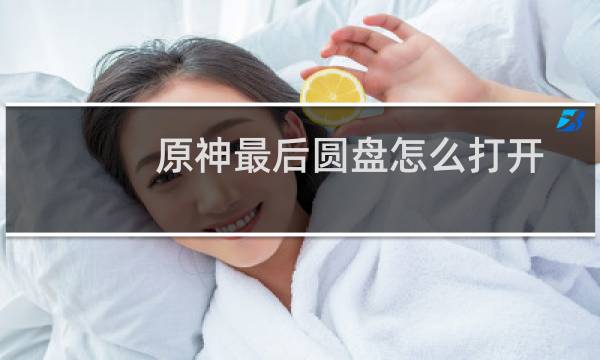 原神最后圆盘怎么打开