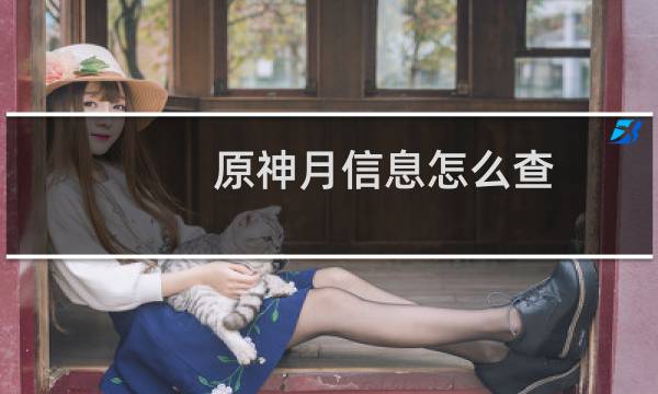 原神月信息怎么查