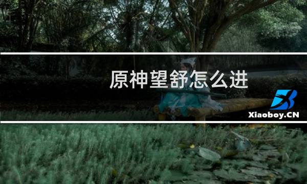 原神望舒怎么进