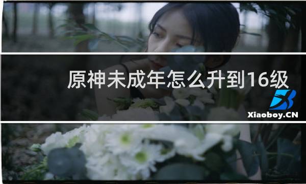 原神未成年怎么升到16级