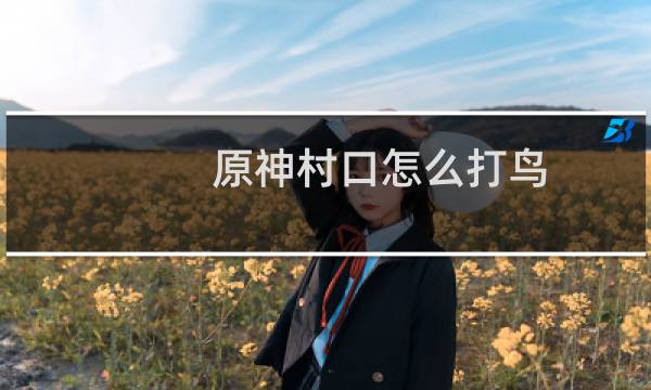 原神村口怎么打鸟