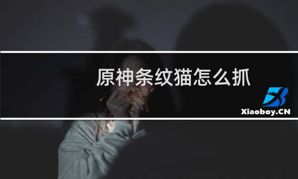 原神条纹猫怎么抓