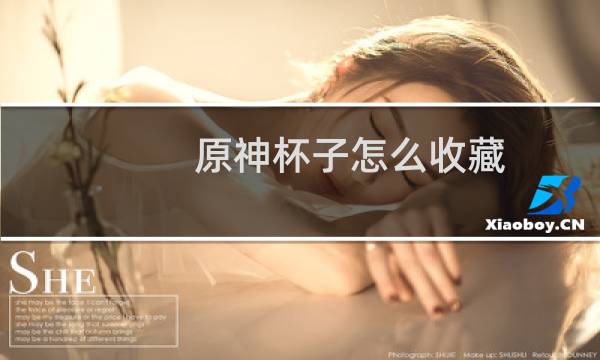 原神杯子怎么收藏