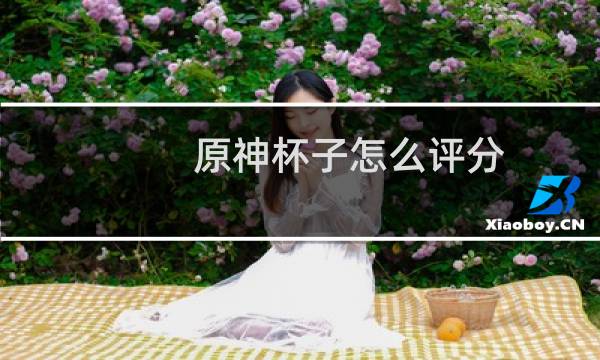 原神杯子怎么评分