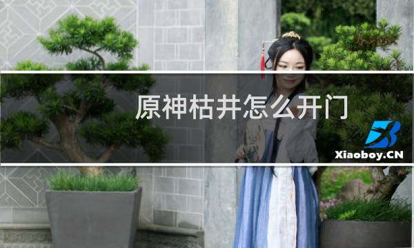 原神枯井怎么开门