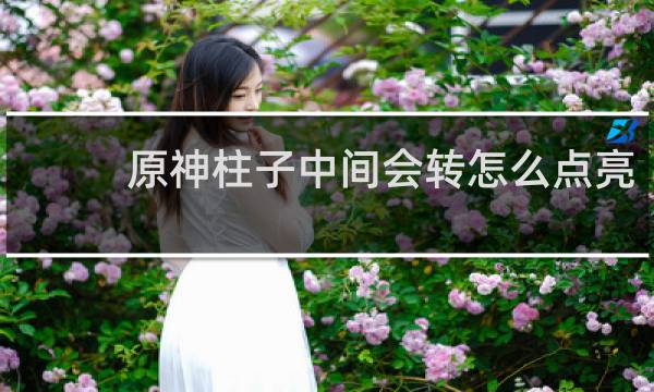 原神柱子中间会转怎么点亮