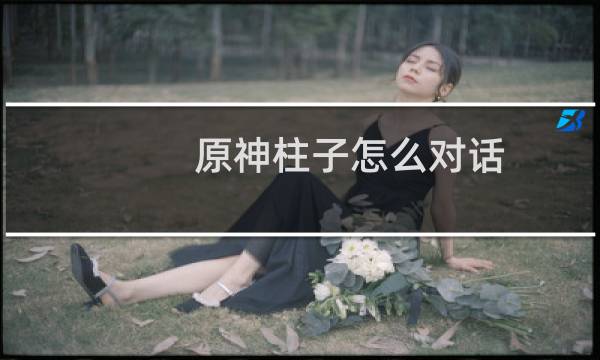 原神柱子怎么对话