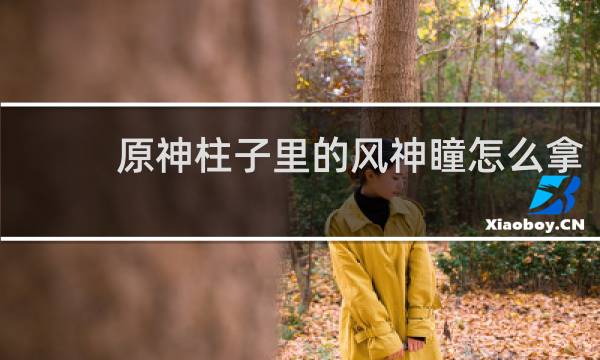 原神柱子里的风神瞳怎么拿