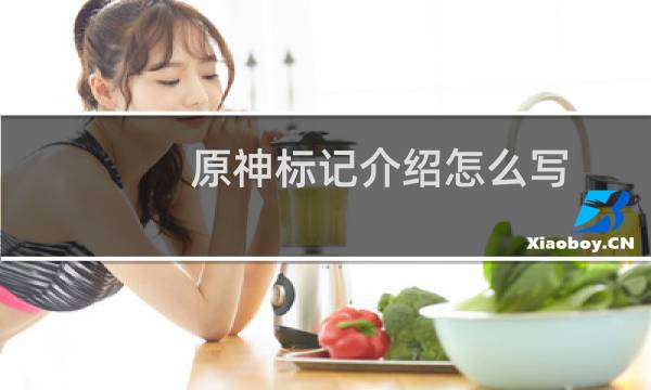 原神标记介绍怎么写