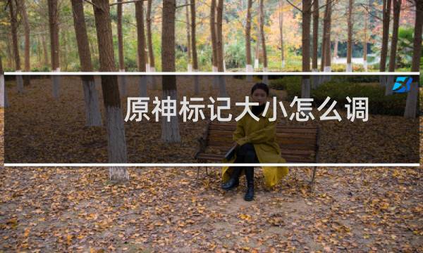 原神标记大小怎么调