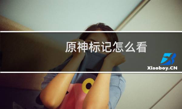 原神标记怎么看