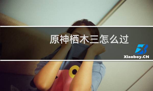 原神栖木三怎么过