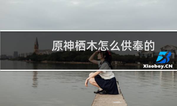 原神栖木怎么供奉的