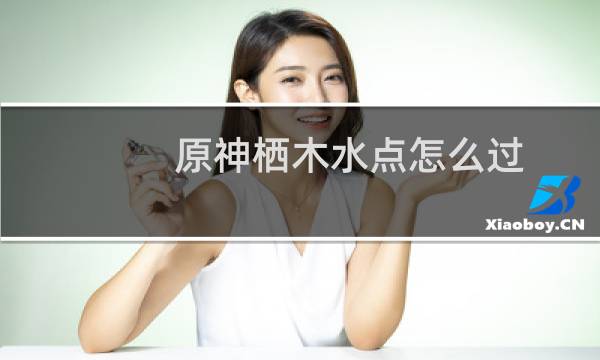 原神栖木水点怎么过