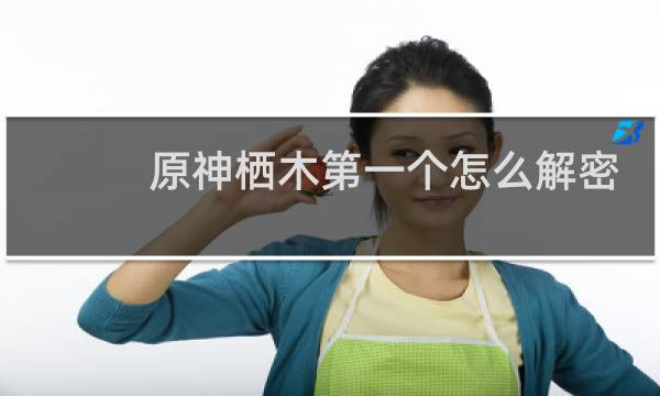 原神栖木第一个怎么解密