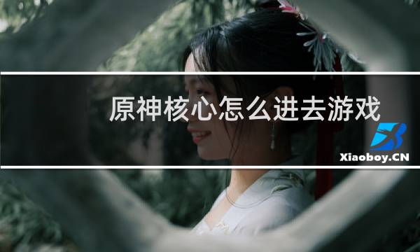 原神核心怎么进去游戏