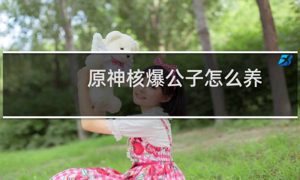 原神核爆公子怎么养