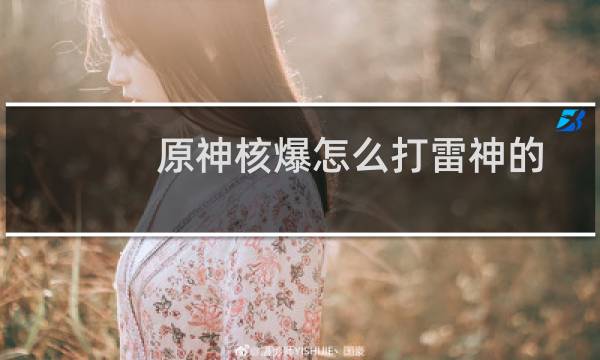 原神核爆怎么打雷神的