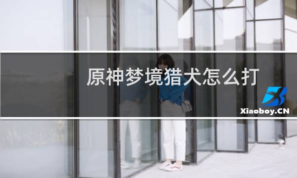 原神梦境猎犬怎么打