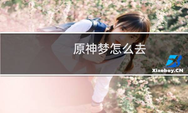 原神梦怎么去