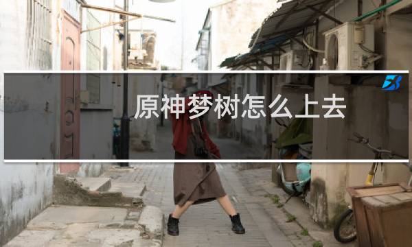 原神梦树怎么上去