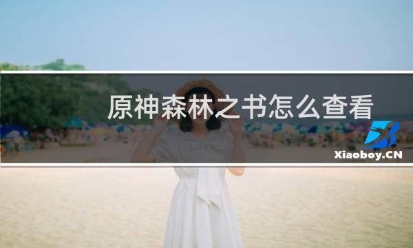 原神森林之书怎么查看