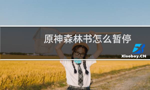原神森林书怎么暂停