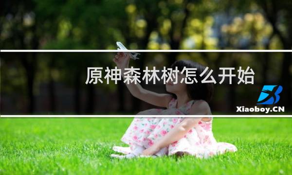 原神森林树怎么开始
