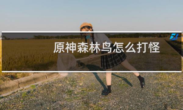 原神森林鸟怎么打怪