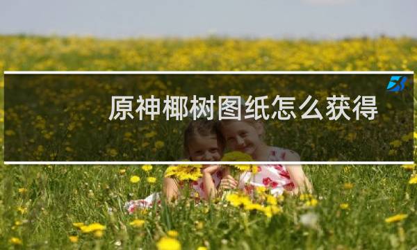 原神椰树图纸怎么获得