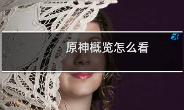 原神概览怎么看