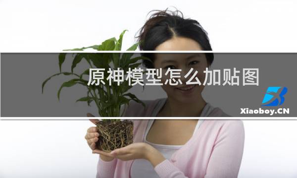 原神模型怎么加贴图