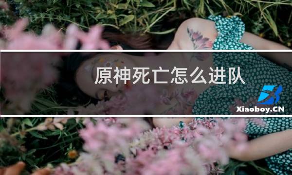 原神死亡怎么进队