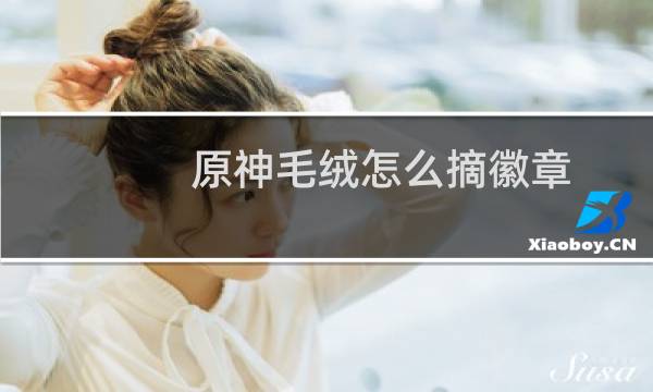 原神毛绒怎么摘徽章