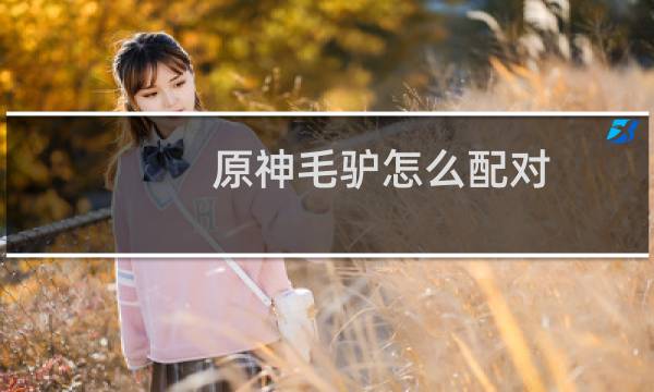 原神毛驴怎么配对