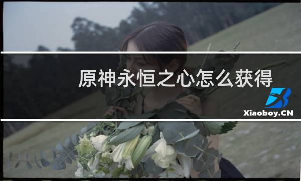 原神永恒之心怎么获得
